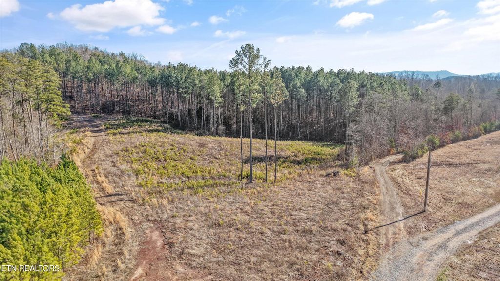 Photo of 235 Bill Moser Rd, Vonore, TN 37885 (MLS # 1327293)