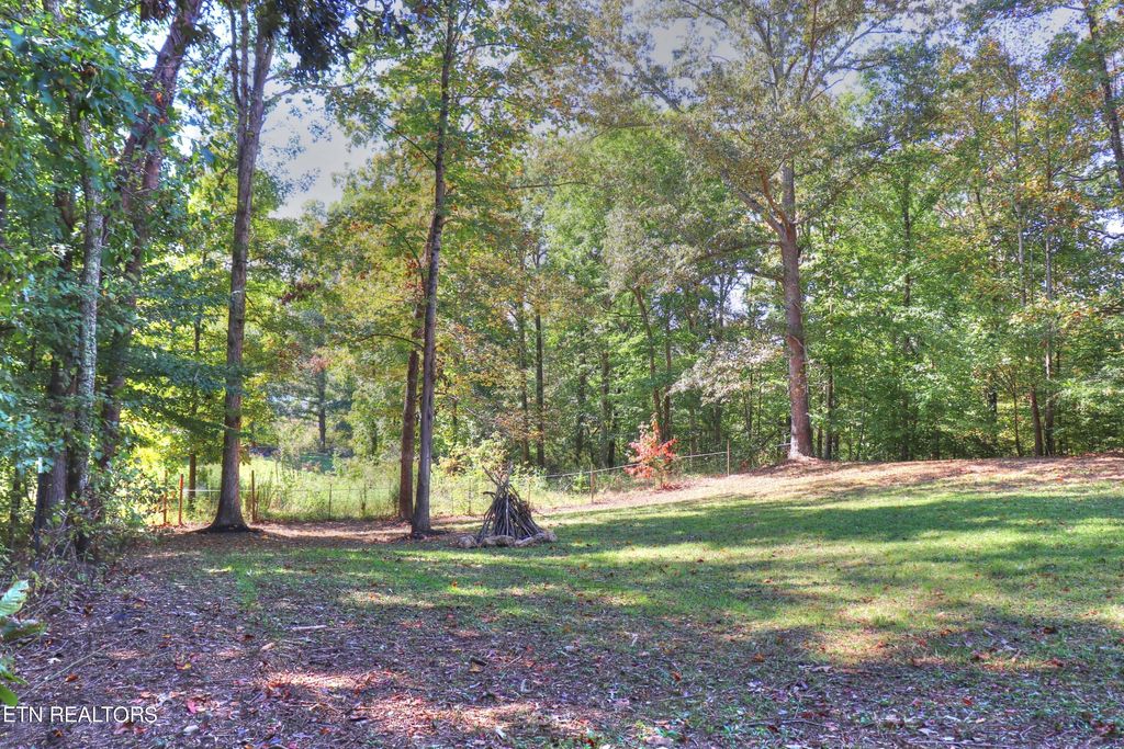 Photo of 1058 N Union Grove Rd, Friendsville, TN 37737 (MLS # 1243049)