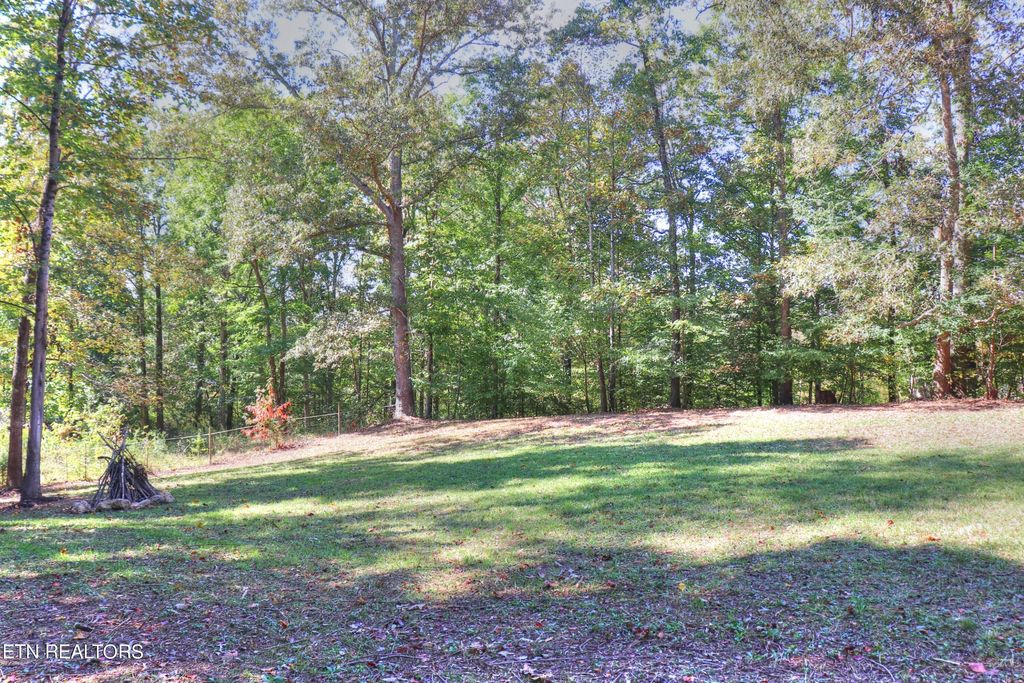 Photo of 1058 N Union Grove Rd, Friendsville, TN 37737 (MLS # 1243049)