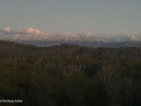 Tiny photo for 2440 Levee Way, Sevierville, TN 37876 (MLS # 1334712)