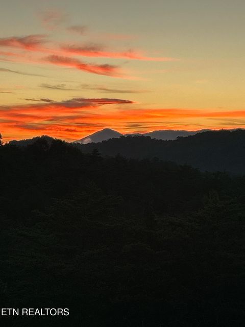 Tiny photo for 2440 Levee Way, Sevierville, TN 37876 (MLS # 1334712)