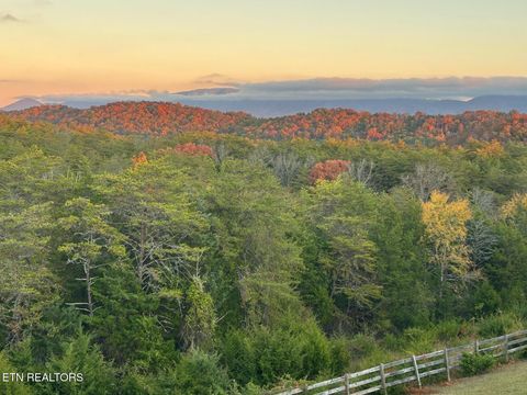 Tiny photo for 2440 Levee Way, Sevierville, TN 37876 (MLS # 1334712)