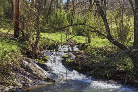 Tiny photo for 168 Childs Rd, Harriman, TN 37748 (MLS # 1333392)