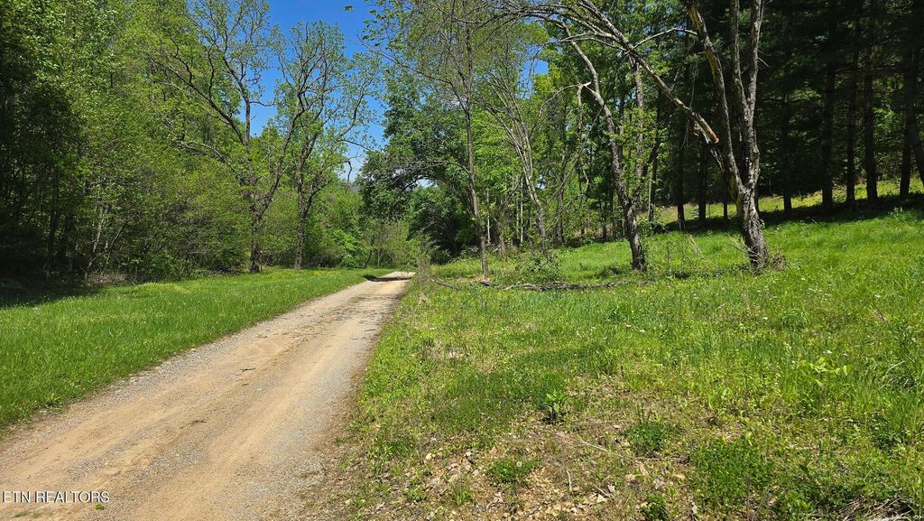 Photo of Dooley Hollow Rd, Erwin, TN 37650 (MLS # 1324669)