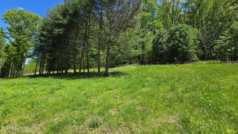Photo of Dooley Hollow Rd, Erwin, TN 37650 (MLS # 1324669)