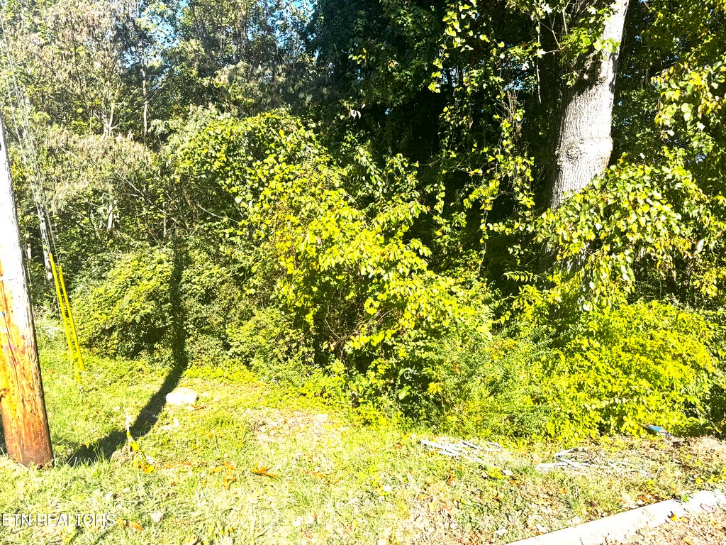 Photo of 00 Culpepper Rd, Knoxville, TN 37917 (MLS # 1359643)