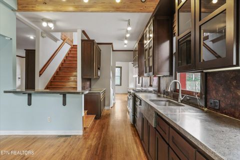 Tiny photo for 1310 Luttrell St, Knoxville, TN 37917 (MLS # 1335474)