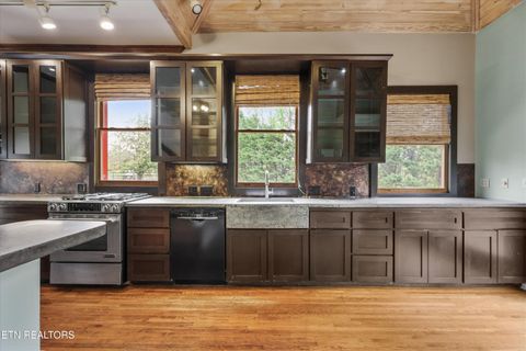 Tiny photo for 1310 Luttrell St, Knoxville, TN 37917 (MLS # 1335474)