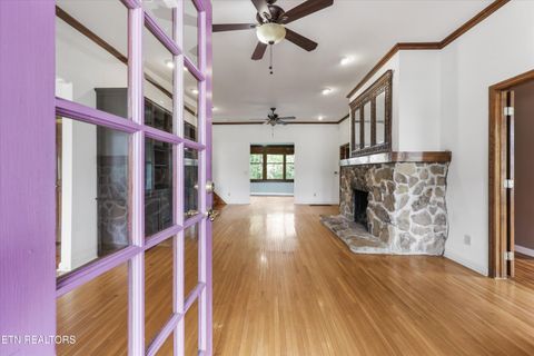 Tiny photo for 1310 Luttrell St, Knoxville, TN 37917 (MLS # 1335474)