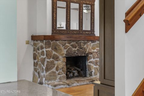 Tiny photo for 1310 Luttrell St, Knoxville, TN 37917 (MLS # 1335474)