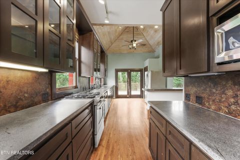 Tiny photo for 1310 Luttrell St, Knoxville, TN 37917 (MLS # 1335474)