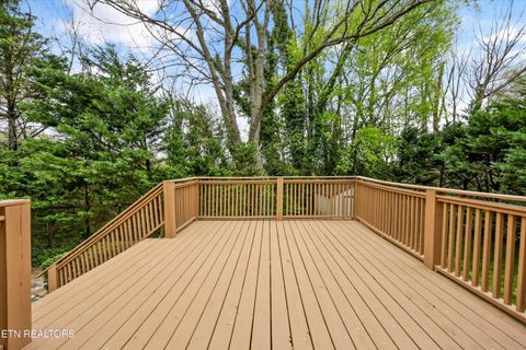 Tiny photo for 1310 Luttrell St, Knoxville, TN 37917 (MLS # 1335474)