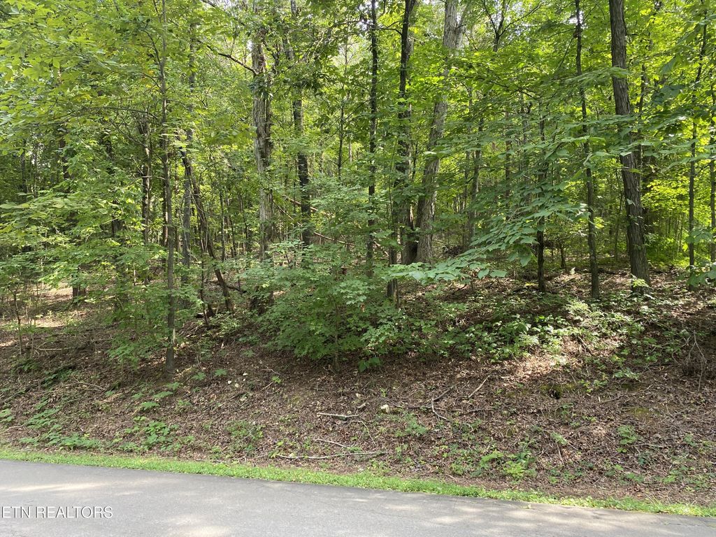 Photo of N Sequoyah Drive, Friendsville, TN 37737 (MLS # 1238521)