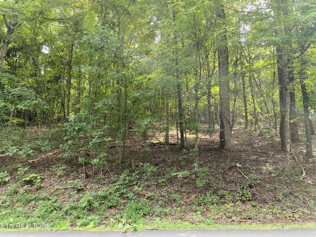 Photo of N Sequoyah Drive, Friendsville, TN 37737 (MLS # 1238521)