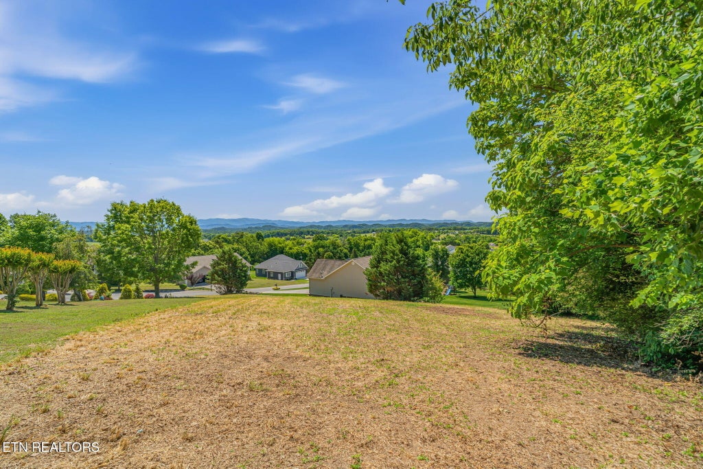 Photo of 165 Cold Creek Rd, Madisonville, TN 37354 (MLS # 1341948)
