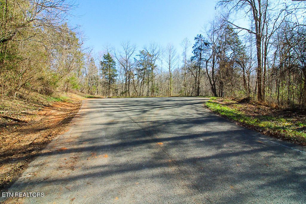 Photo of 421 Mystic Star Drive, New Tazewell, TN 37825 (MLS # 1308502)