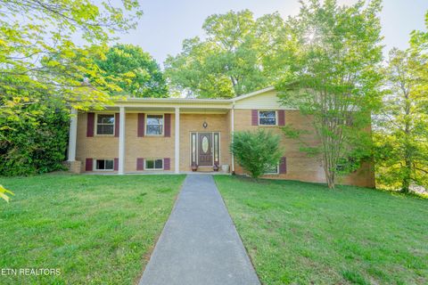 Photo of 4504 Woodview Rd, Louisville, TN 37777 (MLS # 1338100)