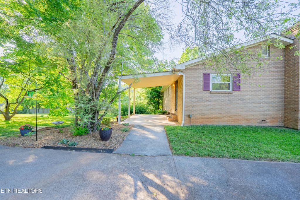 Photo of 4504 Woodview Rd, Louisville, TN 37777 (MLS # 1338100)