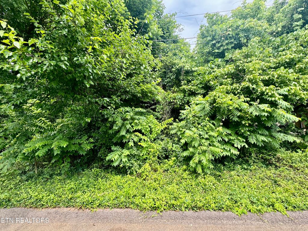 Photo of 1018 Cedarwood St, Knoxville, TN 37914 (MLS # 1344672)