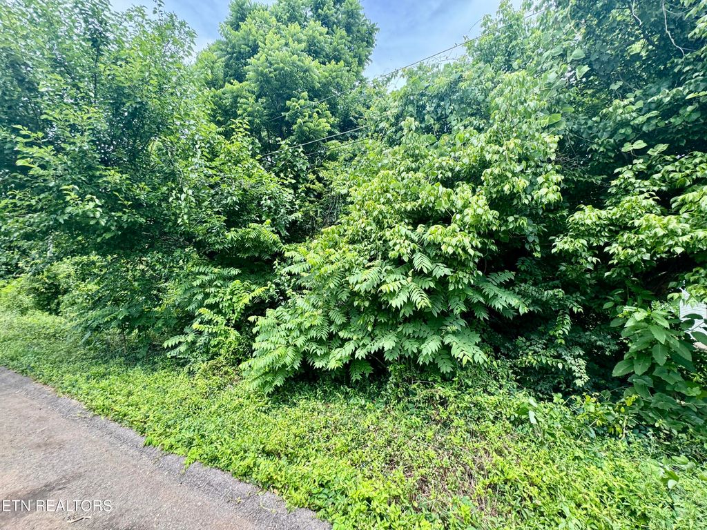 Photo of 1018 Cedarwood St, Knoxville, TN 37914 (MLS # 1344672)
