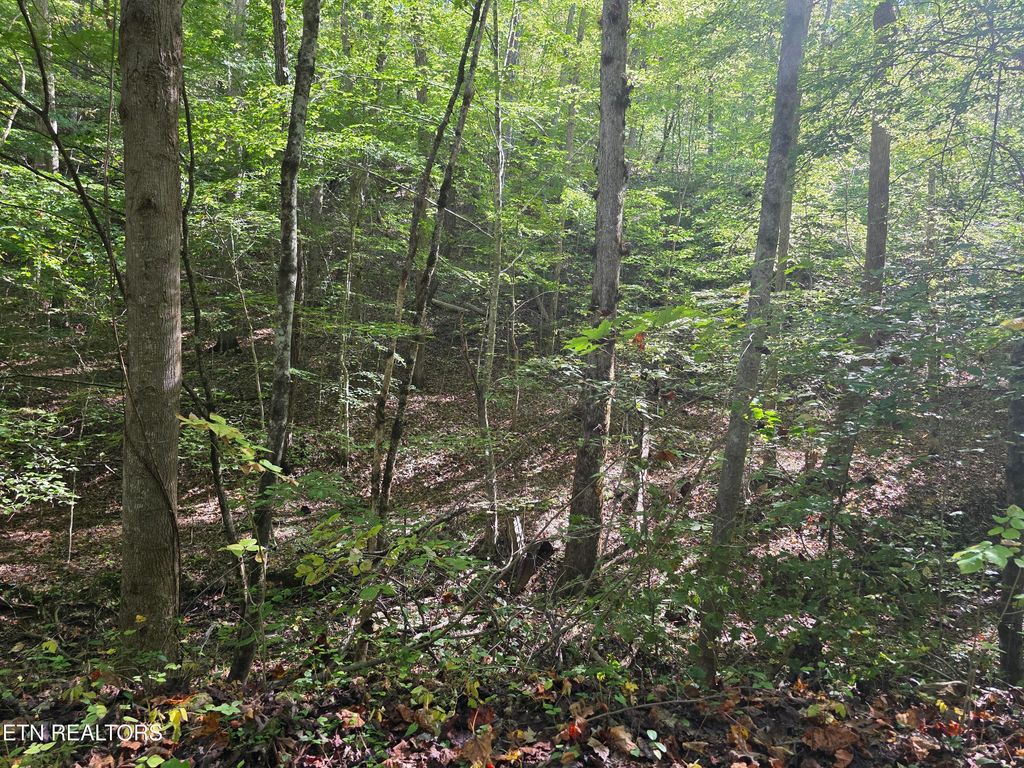 Photo of Tuskegee Drive, Oak Ridge, TN 37830 (MLS # 1318605)