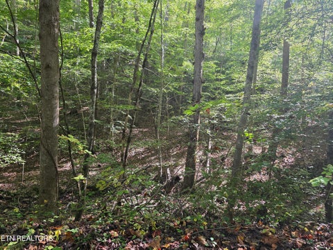 Tiny photo for Tuskegee Drive, Oak Ridge, TN 37830 (MLS # 1318605)