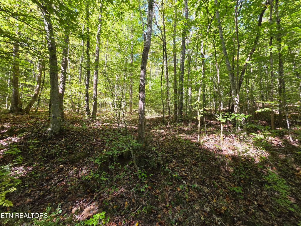 Photo of Tuskegee Drive, Oak Ridge, TN 37830 (MLS # 1318605)