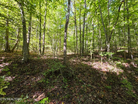 Tiny photo for Tuskegee Drive, Oak Ridge, TN 37830 (MLS # 1318605)