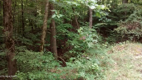 Tiny photo for Tuskegee Drive, Oak Ridge, TN 37830 (MLS # 1318605)