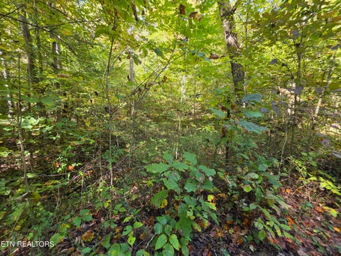 Tiny photo for Tuskegee Drive, Oak Ridge, TN 37830 (MLS # 1318605)