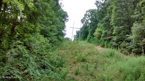Tiny photo for Tuskegee Drive, Oak Ridge, TN 37830 (MLS # 1318605)