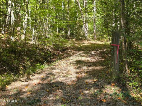 Photo of Tuskegee Drive, Oak Ridge, TN 37830 (MLS # 1318605)