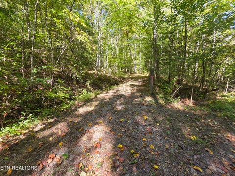 Tiny photo for Tuskegee Drive, Oak Ridge, TN 37830 (MLS # 1318605)