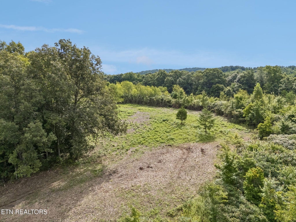 Photo of Sheep Ranch Tract 4 Rd, Robbins, TN 37852 (MLS # 1352330)