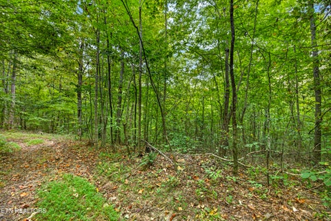 Tiny photo for 32 Timber Ridge Lane, Celina, TN 38551 (MLS # 1357286)