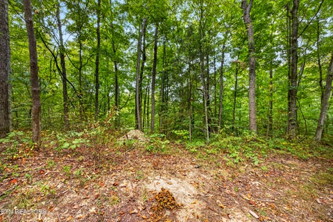 Tiny photo for 32 Timber Ridge Lane, Celina, TN 38551 (MLS # 1357286)