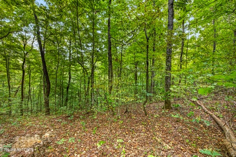 Tiny photo for 32 Timber Ridge Lane, Celina, TN 38551 (MLS # 1357286)