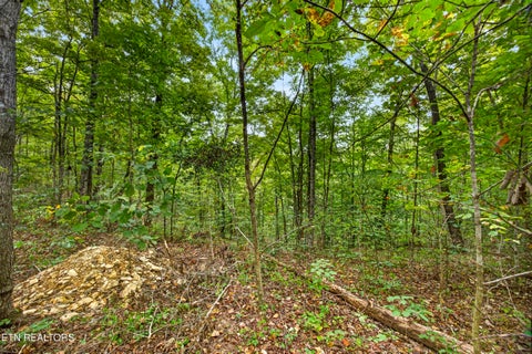 Tiny photo for 32 Timber Ridge Lane, Celina, TN 38551 (MLS # 1357286)