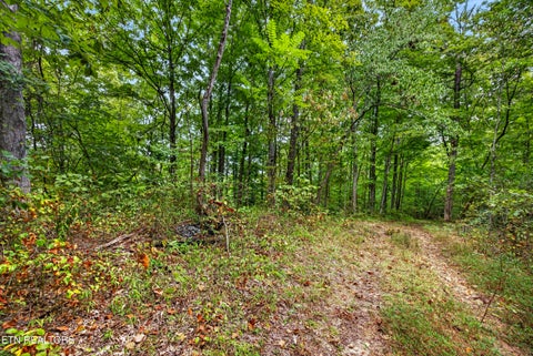 Tiny photo for 32 Timber Ridge Lane, Celina, TN 38551 (MLS # 1357286)
