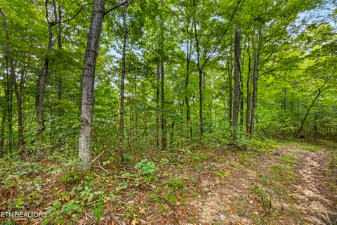 Tiny photo for 32 Timber Ridge Lane, Celina, TN 38551 (MLS # 1357286)