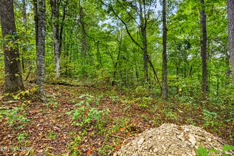 Tiny photo for 32 Timber Ridge Lane, Celina, TN 38551 (MLS # 1357286)