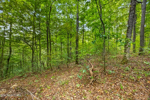 Tiny photo for 32 Timber Ridge Lane, Celina, TN 38551 (MLS # 1357286)