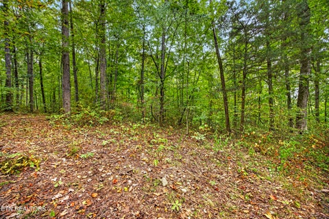 Tiny photo for 32 Timber Ridge Lane, Celina, TN 38551 (MLS # 1357286)