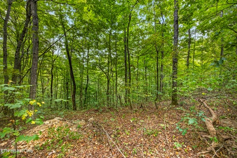 Photo of 32 Timber Ridge Lane, Celina, TN 38551 (MLS # 1357286)
