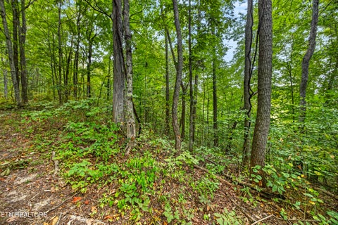 Tiny photo for 32 Timber Ridge Lane, Celina, TN 38551 (MLS # 1357286)