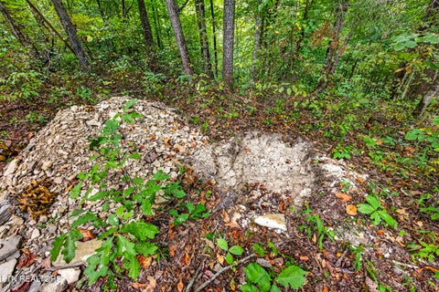 Tiny photo for 32 Timber Ridge Lane, Celina, TN 38551 (MLS # 1357286)