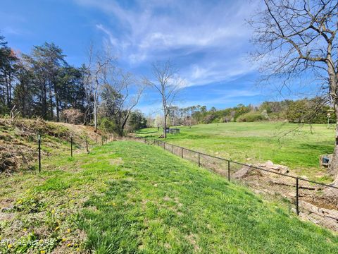 Tiny photo for 273 Vernie Lee Rd, Friendsville, TN 37737 (MLS # 1332488)