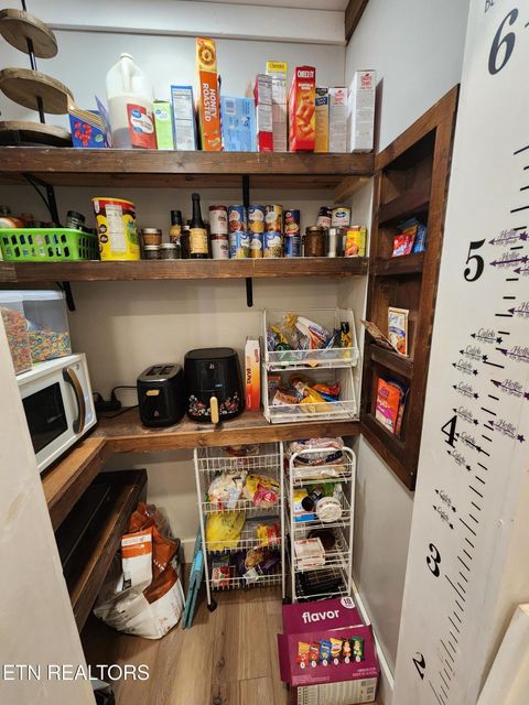 Tiny photo for 273 Vernie Lee Rd, Friendsville, TN 37737 (MLS # 1332488)