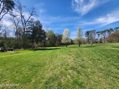 Tiny photo for 273 Vernie Lee Rd, Friendsville, TN 37737 (MLS # 1332488)