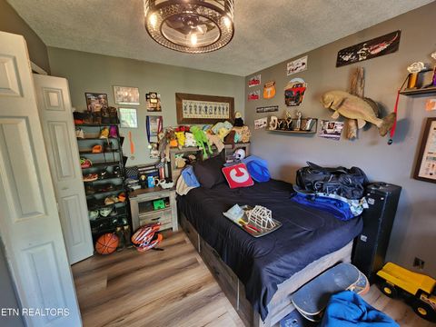 Tiny photo for 273 Vernie Lee Rd, Friendsville, TN 37737 (MLS # 1332488)